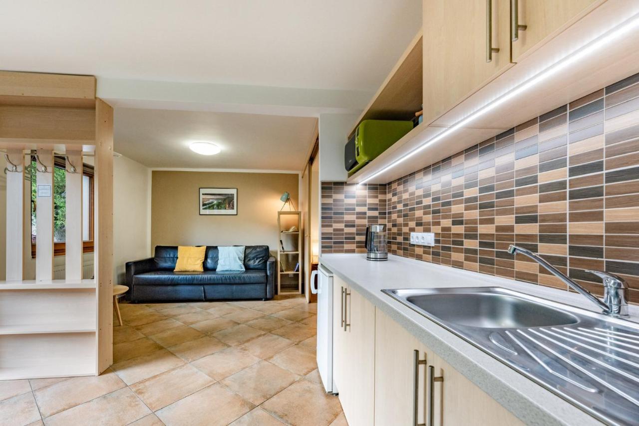 Apartment Vaclavov Decin Exterior photo